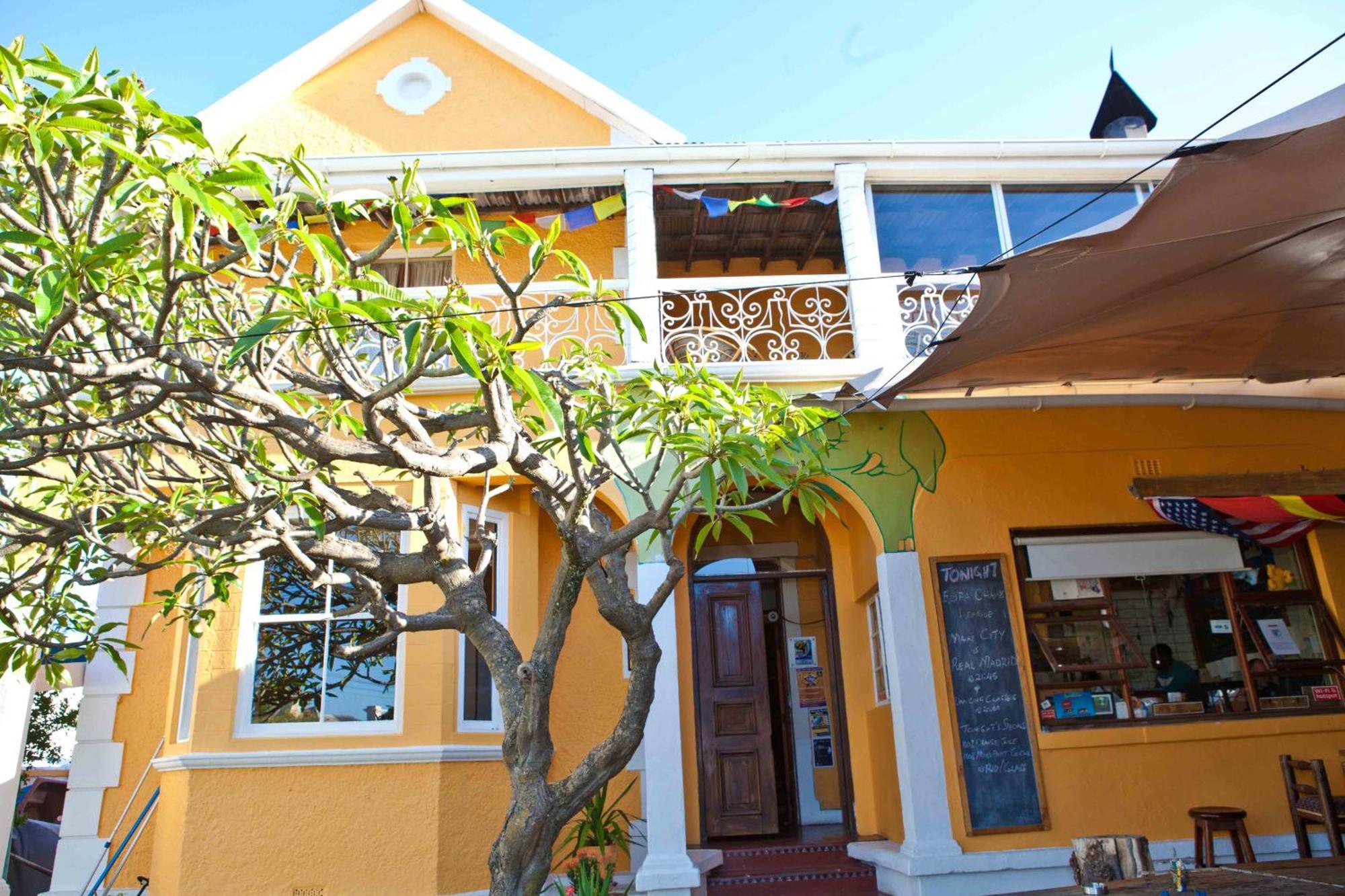 Hostel Elephant Backpackers *